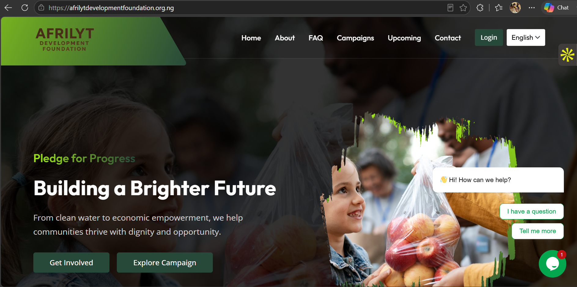 Afrilyt Development Foundation — campaign platform